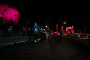 BIB: 
                            <button type="button" onclick="openModal(26552594)" class="btn btn-primary btn-sm float-right btn-popup" data-toggle="modal" data-target=".modal-high-quality">
                        <i class="fas fa-shopping-cart"></i> Add to Cart
                    </button>
                                            <button type="button" onclick="isThisMe(26552594, true)" class="btn btn-success btn-sm float-right btn-popup btn-isme hidden" data-toggle="tooltip" data-placement="bottom" title="นี่คือรูปของคุณใช่ไหม คลิกที่นี่เพื่อเอาเข้าอัลบั้ม">
                        <i class="fas fa-plus"></i> Add to album
                    </button>
                    <button type="button" onclick="isThisMe(26552594, false)" class="btn btn-warning btn-sm float-right btn-popup btn-isnotme hidden">
                        <i class="fas fa-ban"></i> Remove from album
                    </button>